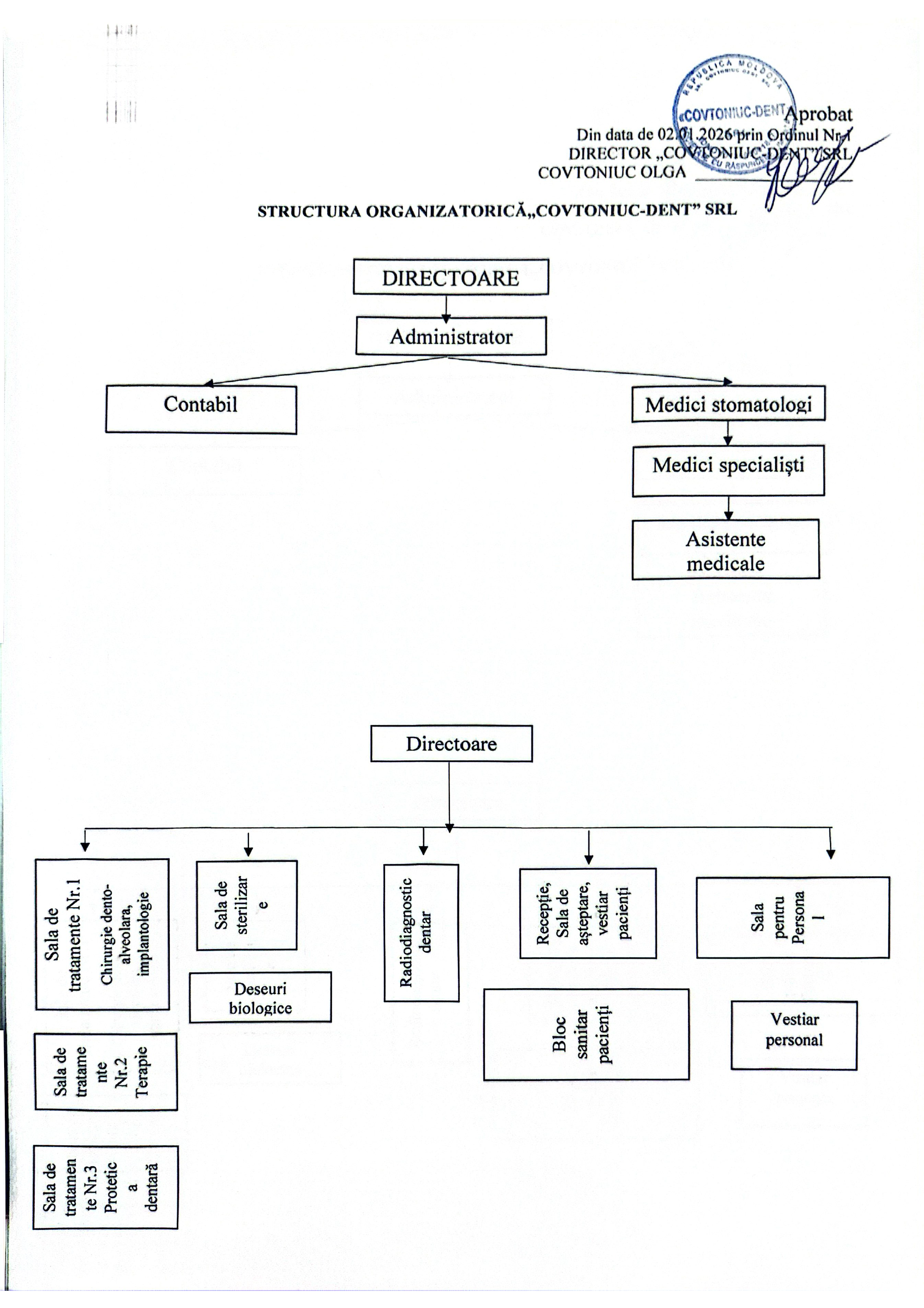 Органиграмма клиники Covtoniuc-Dent